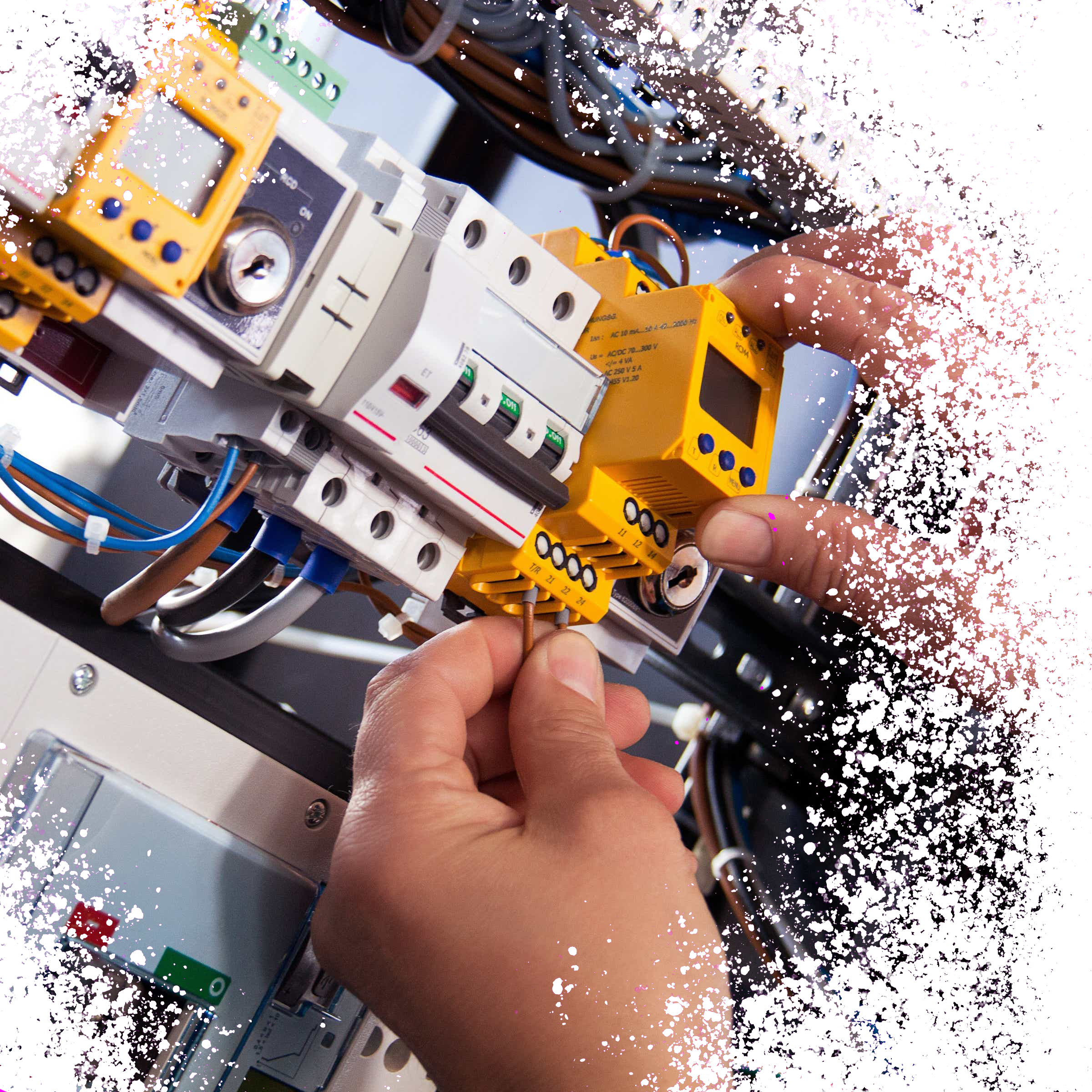 subscribe newsletter